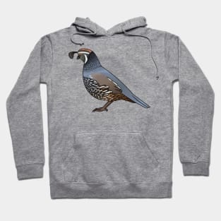 California quail bird cartoon illustration Hoodie